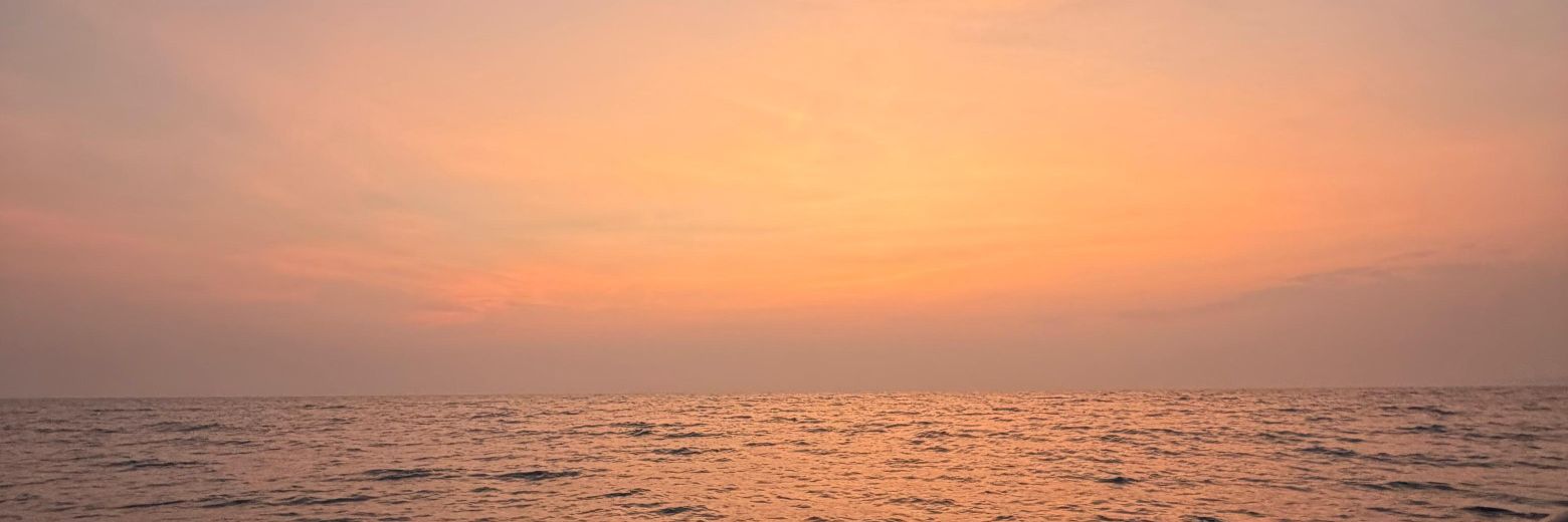 marychabito's profile banner image