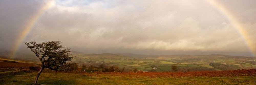 Andrew Holland banner