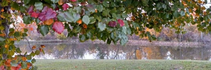 Emily_656's profile banner image