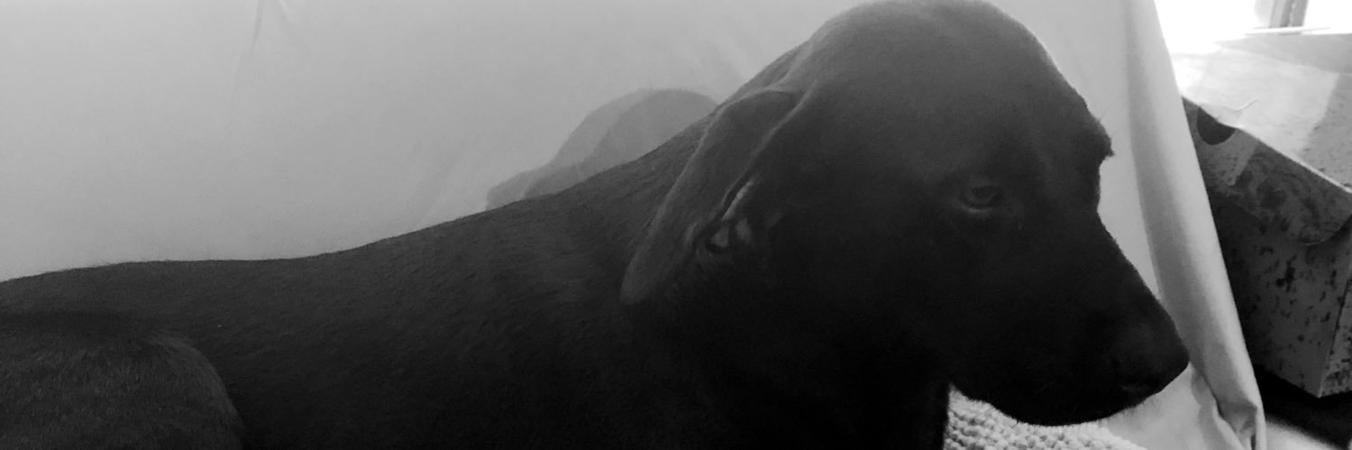 freemanjason33's profile banner image