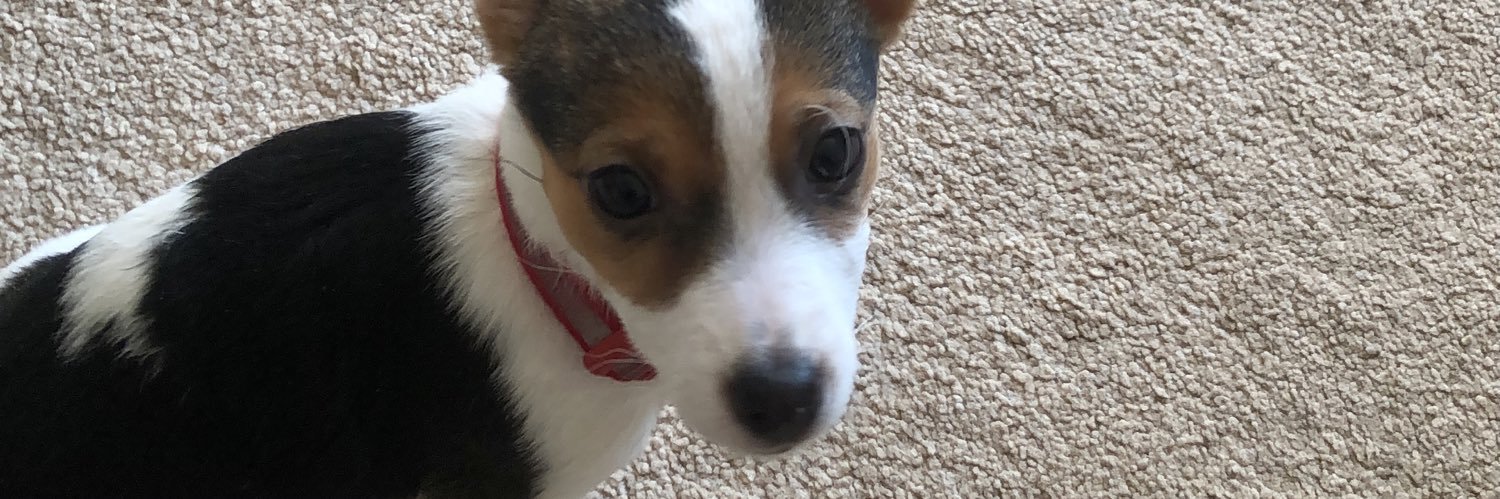 SharonAuld's profile banner image