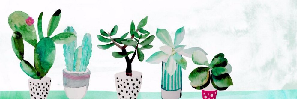 HelenMcKenzieG's profile banner image