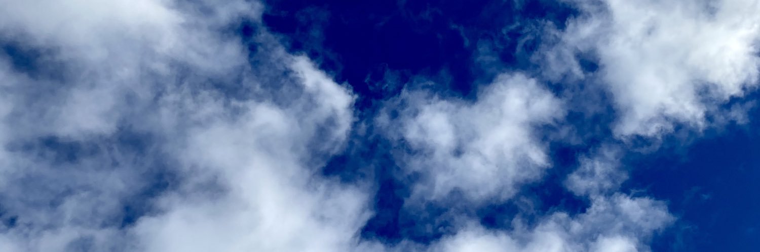 Caroline Baumann banner