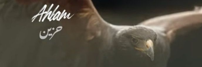 elkhadir51's profile banner image