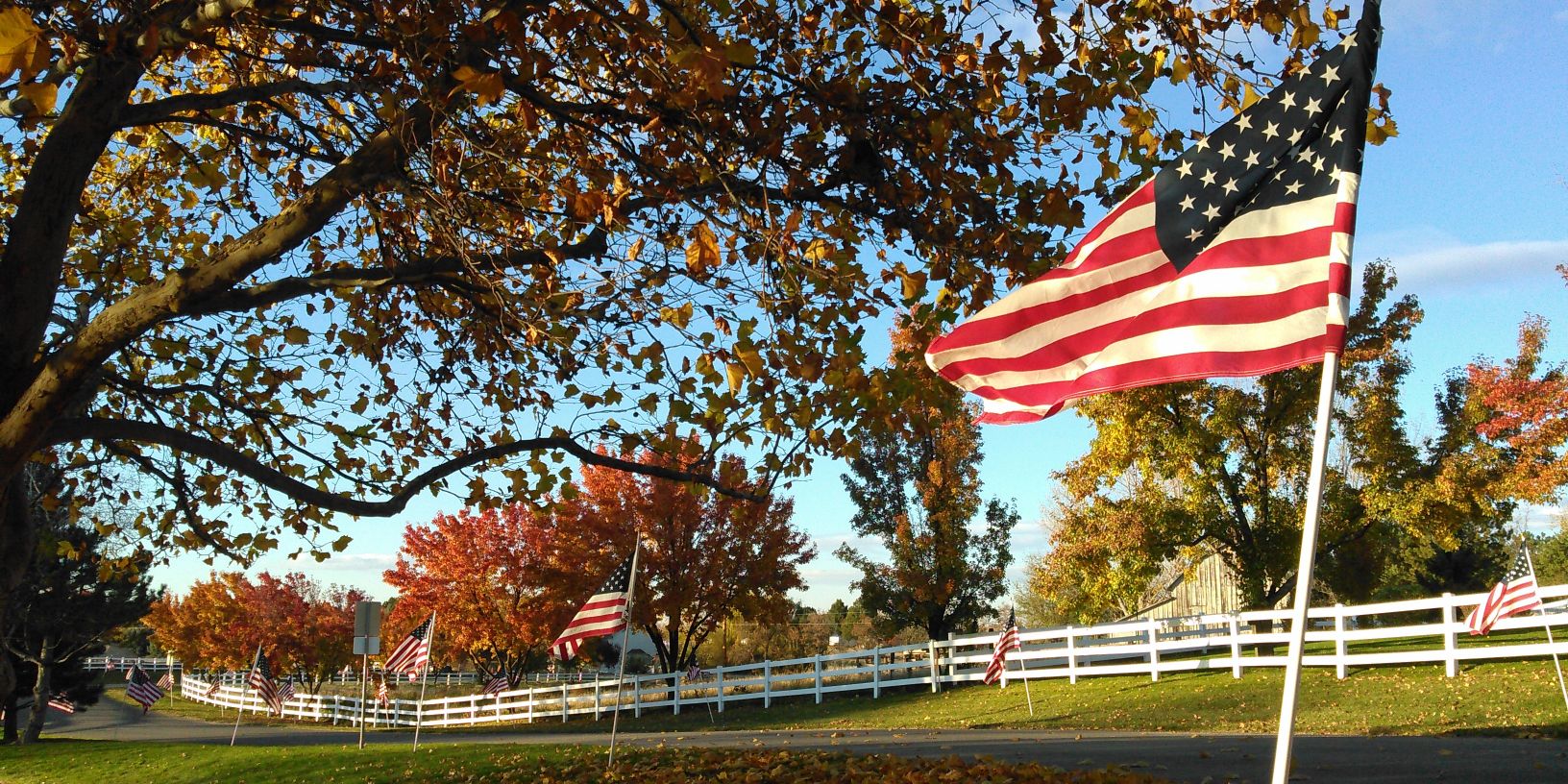 Doug Lock-Smith banner