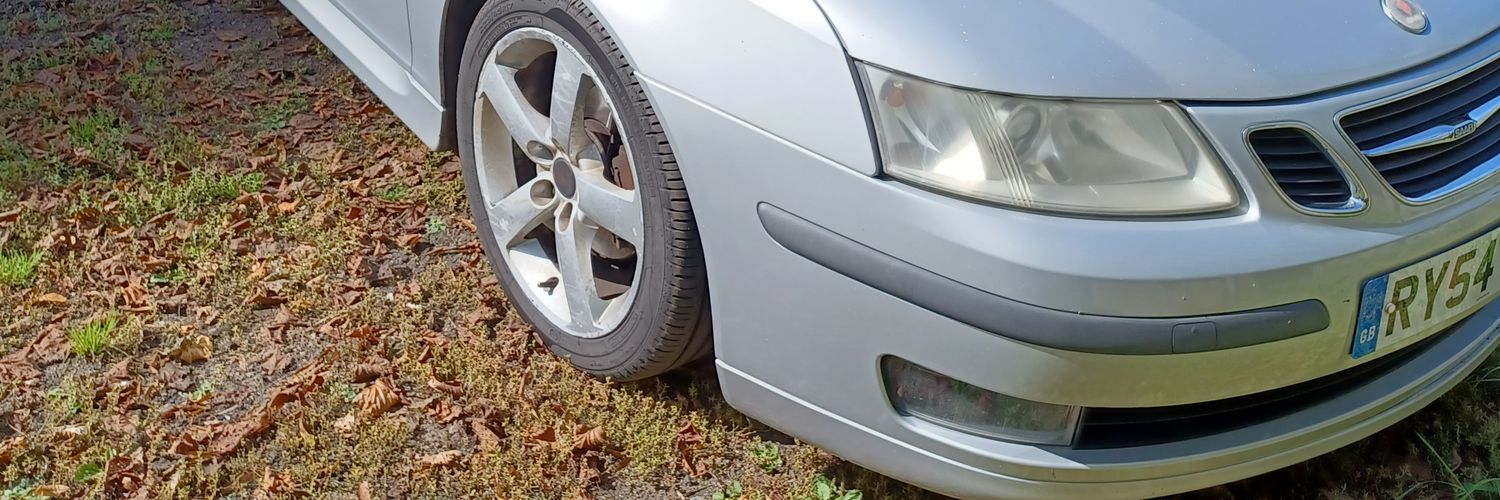 Michael Painter banner