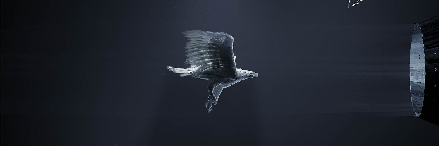 LudovicAbraham's profile banner image