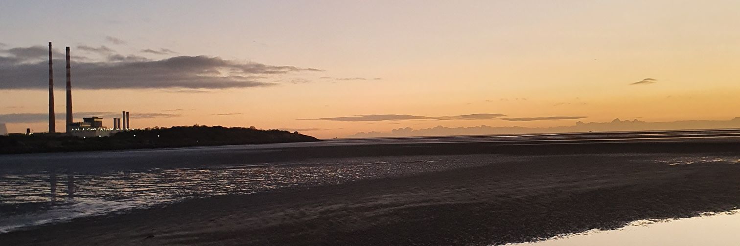 Ellenflan's profile banner image