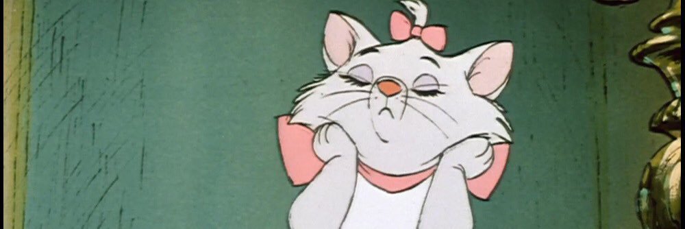 kaitlongovich's profile banner image