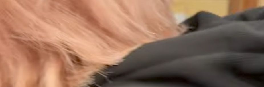 chieeeenya_n's profile banner image