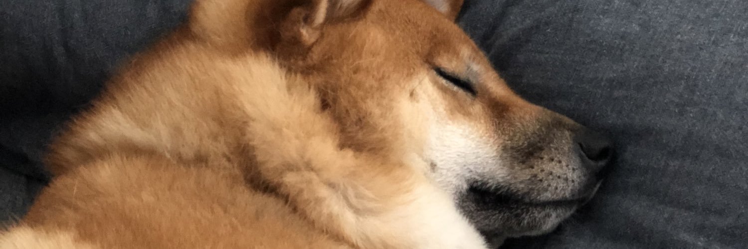 Адриансито 🎄☃️ banner