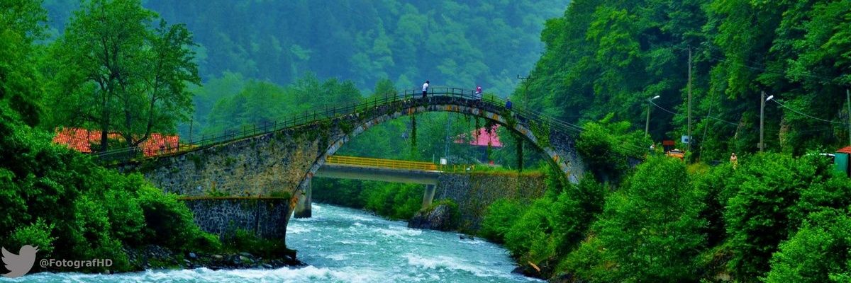 cihangunaydin's profile banner image