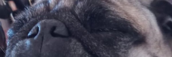 Reversedlol Profile Banner