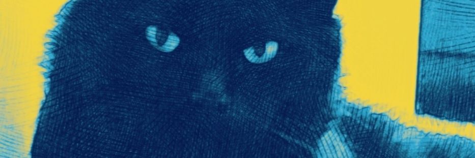Norynt's profile banner image