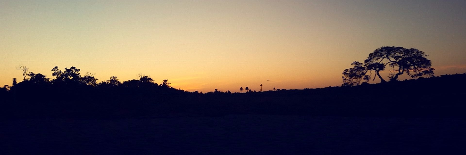 kathlen1's profile banner image