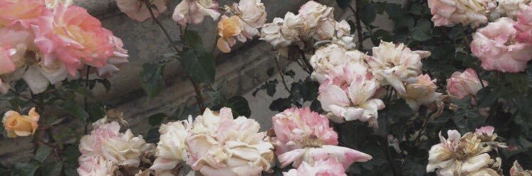 _asdfghjklq's profile banner image