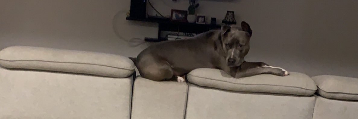 BlakeyDaniel's profile banner image
