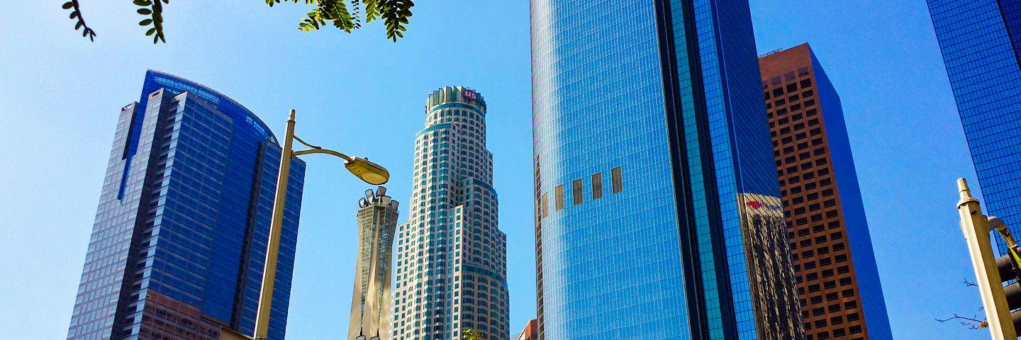 William Thomas banner