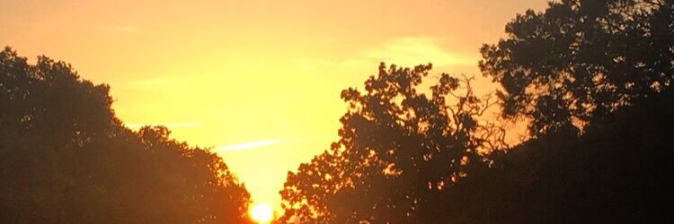 Kendra_Bailey4's profile banner image