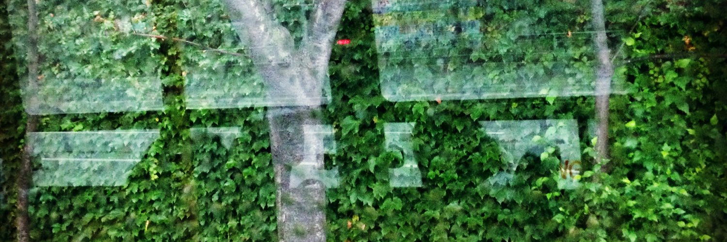 추억을 담다 banner