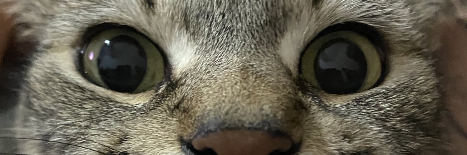 thataaamachado's profile banner image