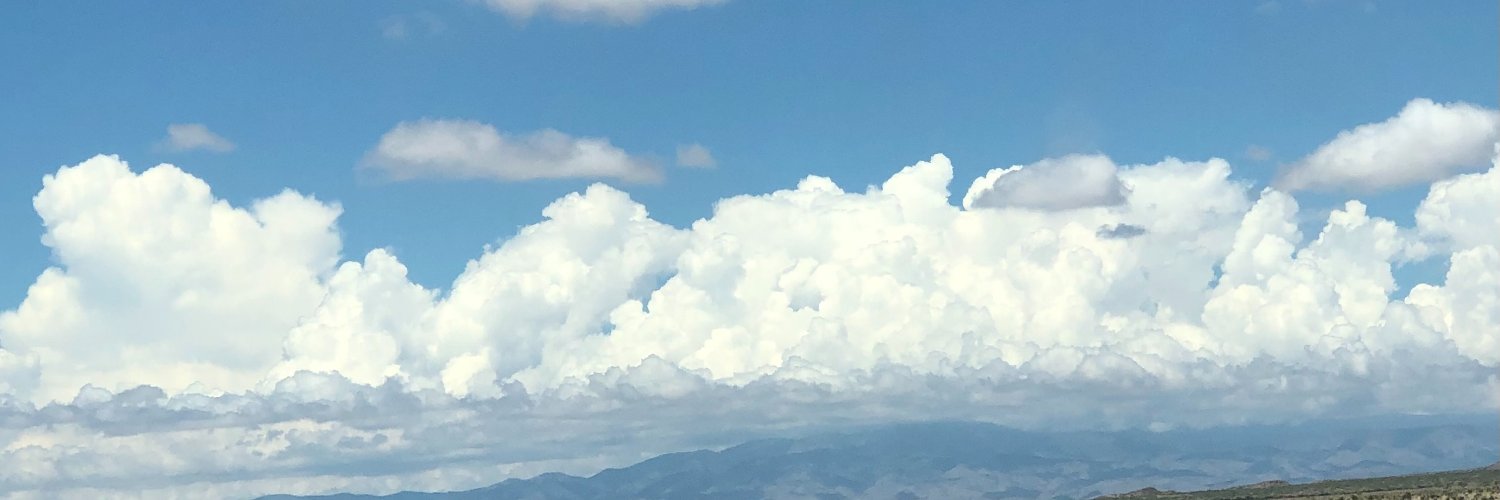 dsquilts02's profile banner image