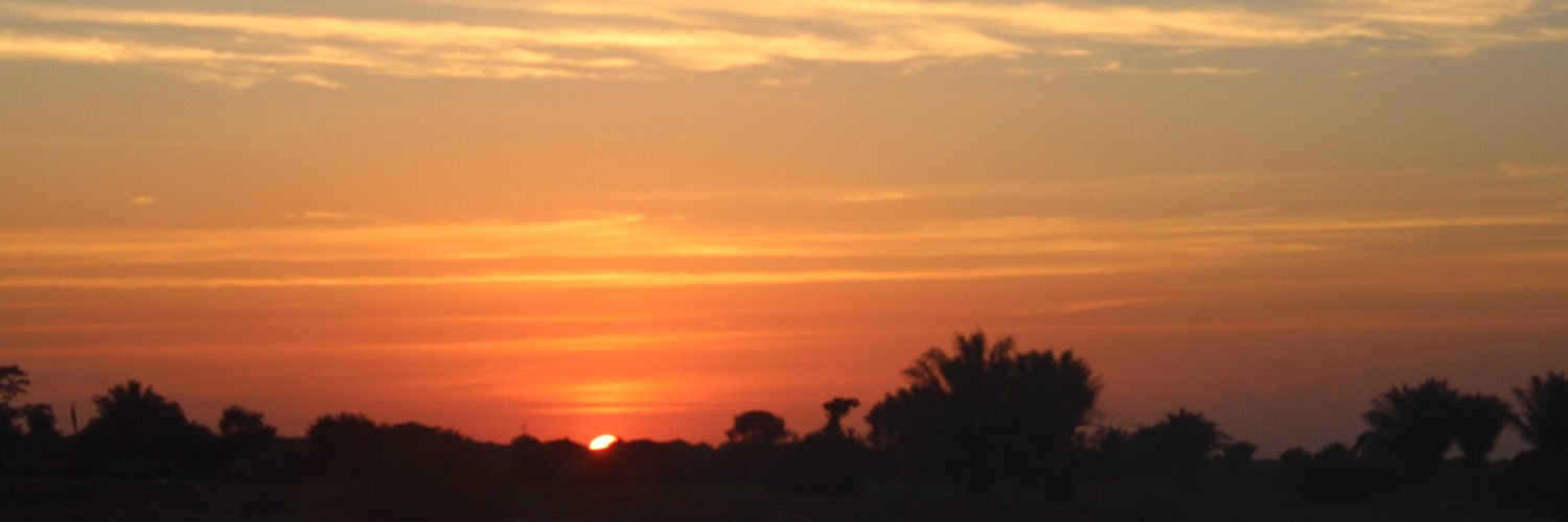 LauraSupelano's profile banner image