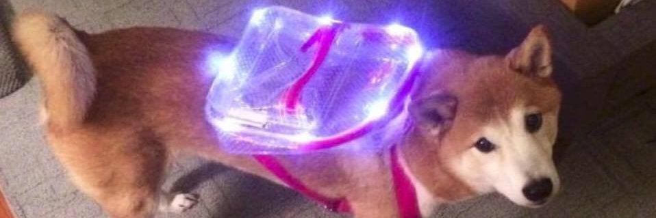 QuinnTweeted's profile banner image