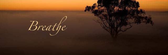 Optimalternativ's profile banner image