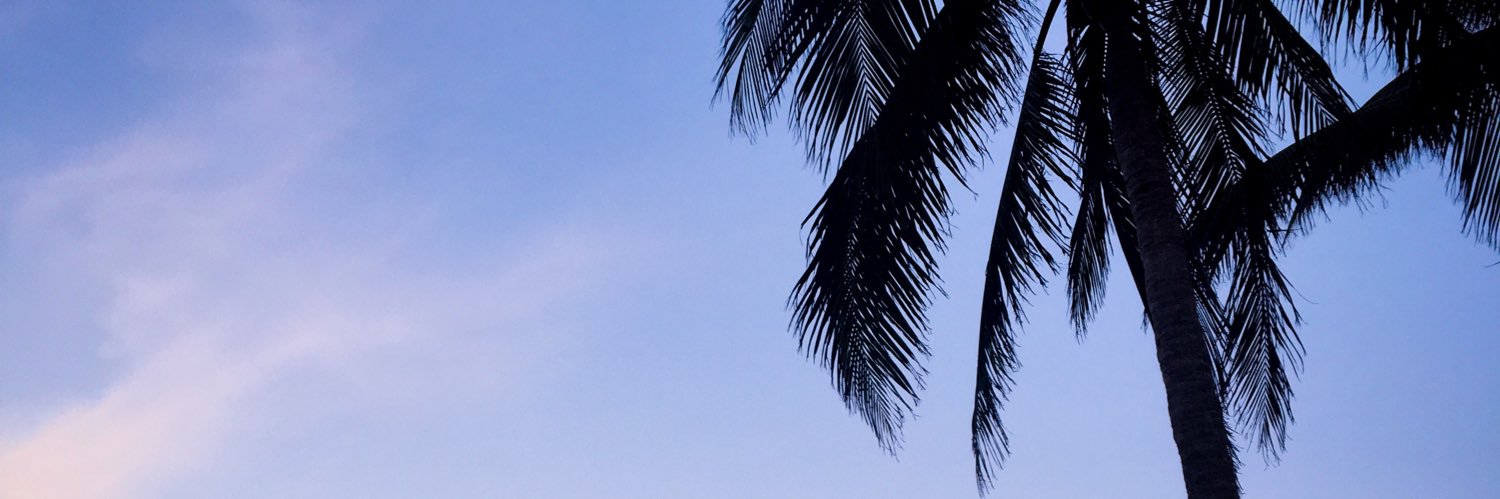 just__shauna's profile banner image