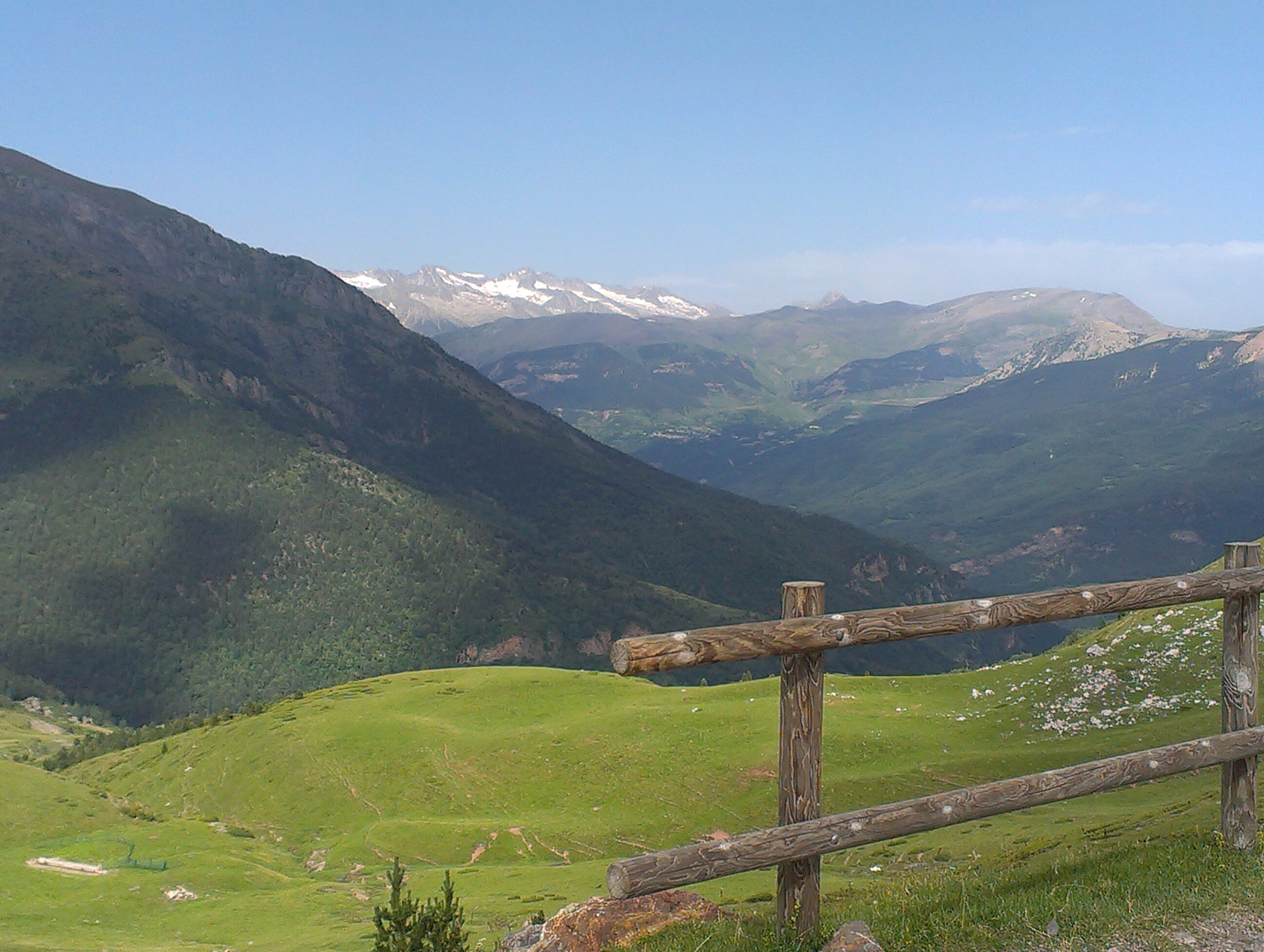 Eva Alloza Anguiano banner