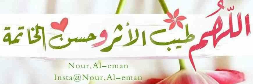 seela212's profile banner image