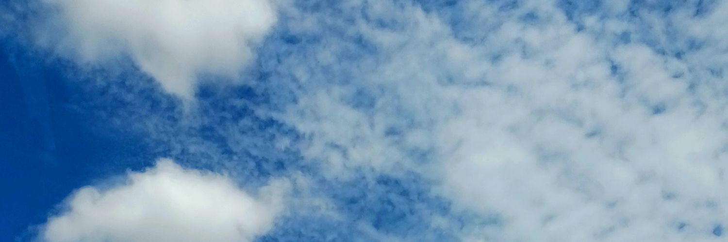 AndrePelle_'s profile banner image