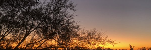 captainemg23 Profile Banner