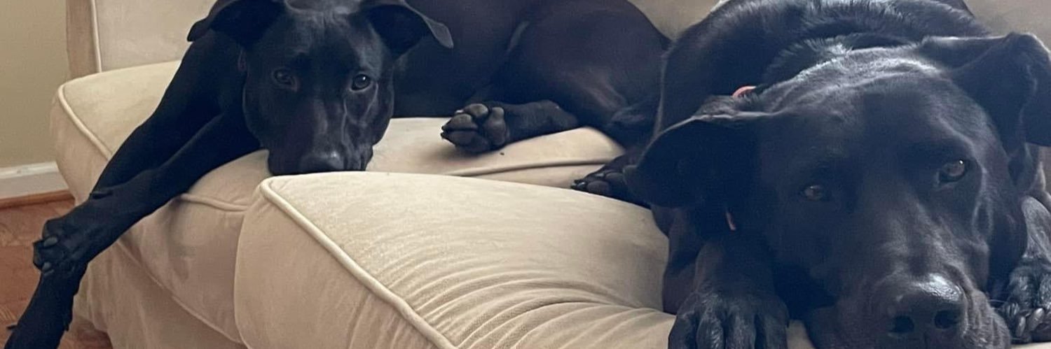 Ryan Spangler banner