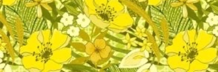 aurasparrowmist's profile banner image