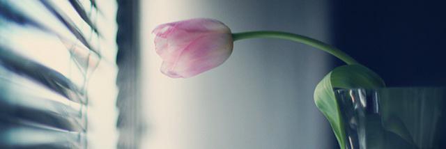 sshh55's profile banner image