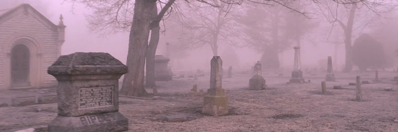 LilyMathus's profile banner image