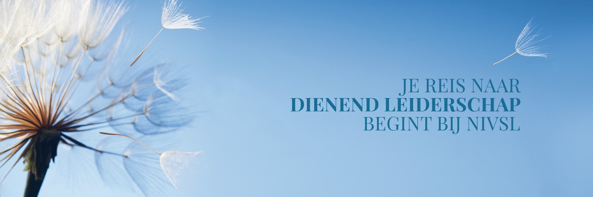Nederlands Instituut voor Servant Leadership-NIVSL banner
