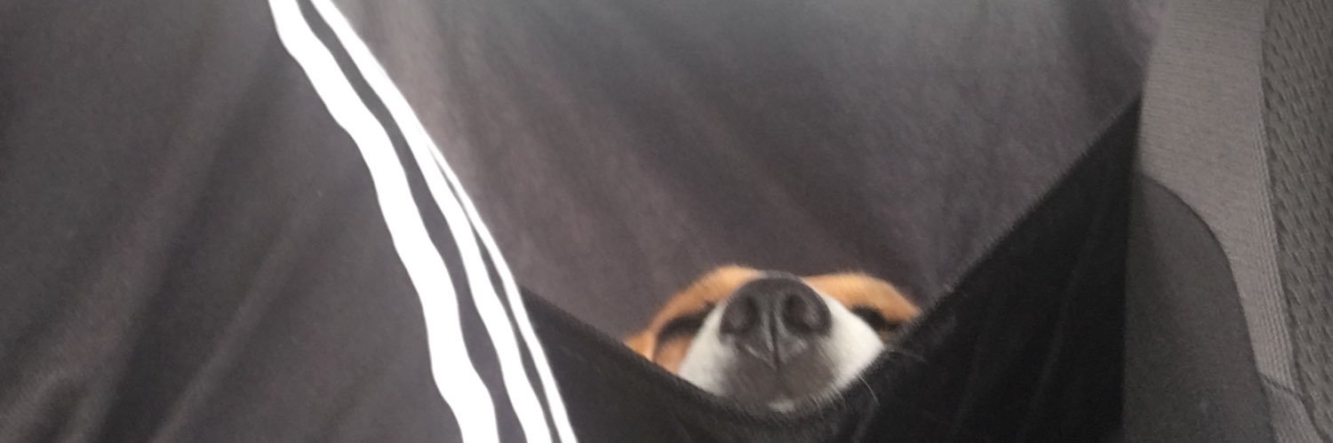 davesonofdavid's profile banner image