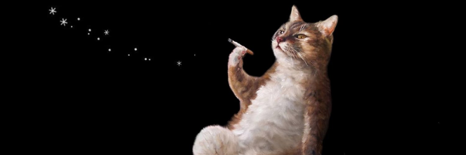 flyingcat247's profile banner image