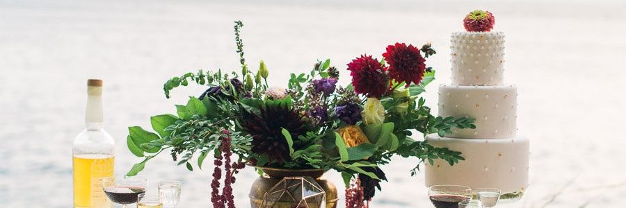 Dalana Fleming banner