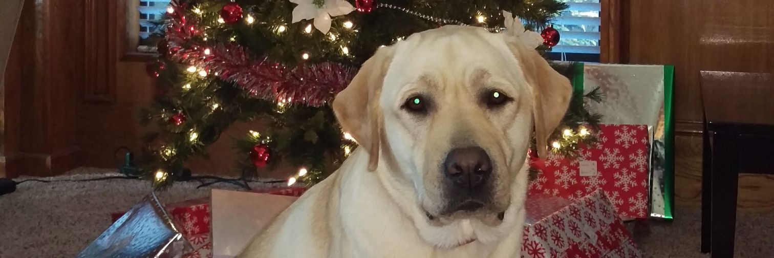 MoiraJones5's profile banner image
