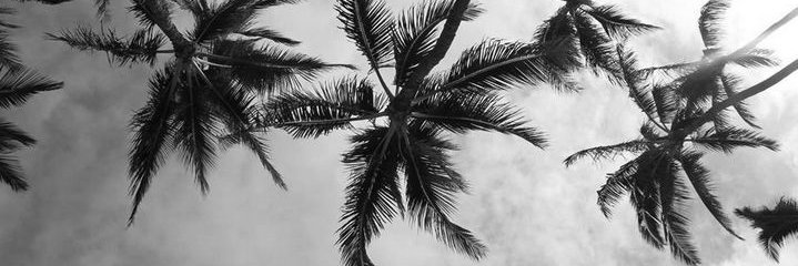mrtndeocampo's profile banner image