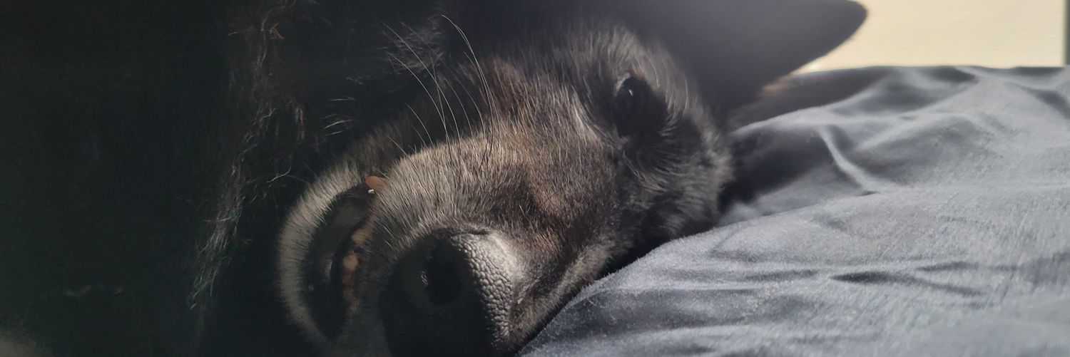 JenniferUnwin's profile banner image