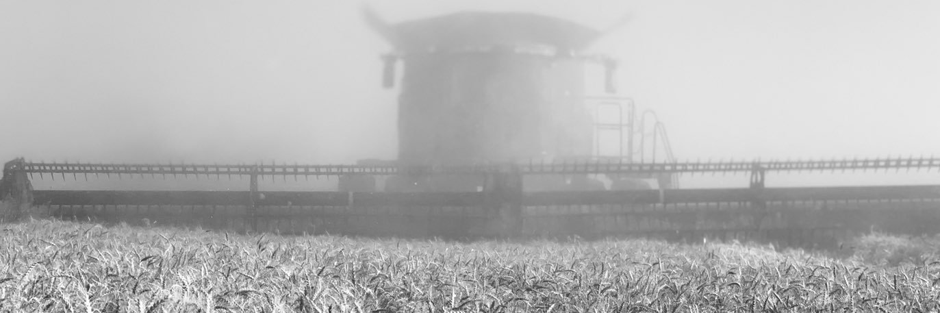 KircherL's profile banner image