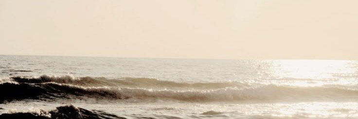 caiase's profile banner image