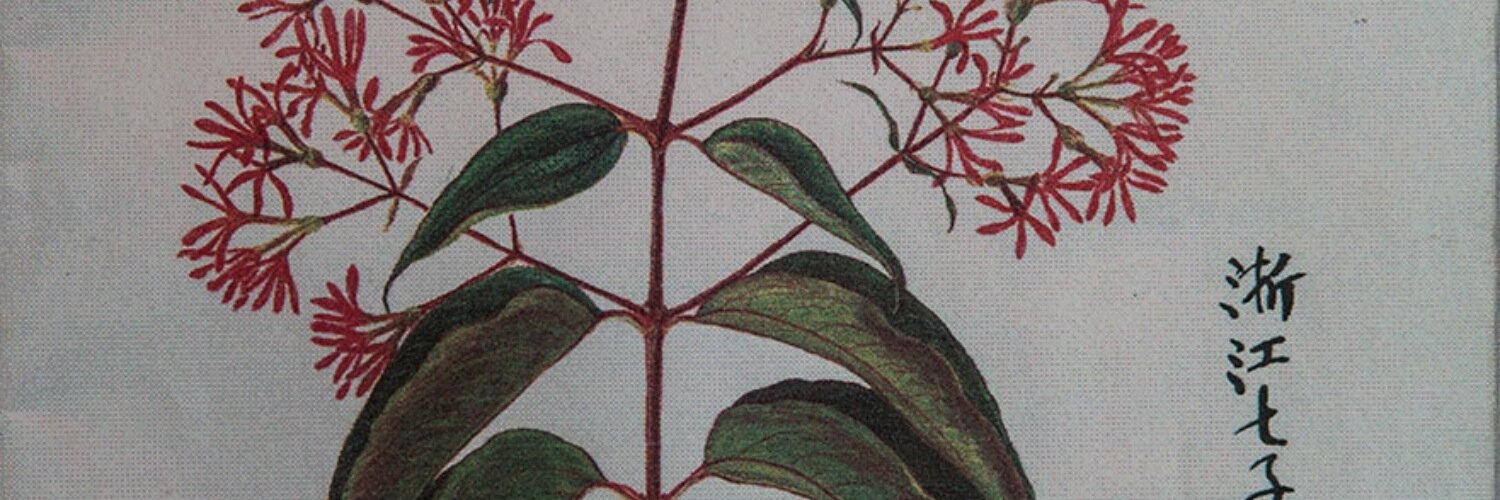 dramyeis's profile banner image