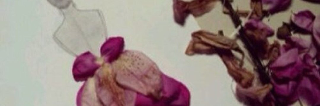 WedyanY's profile banner image