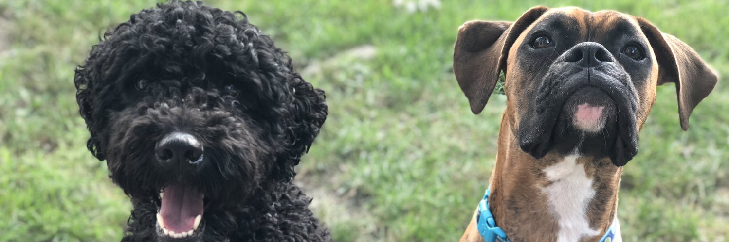 MichaelKeithJr's profile banner image